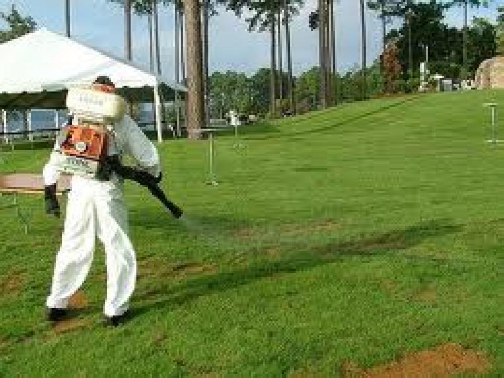 Снимка  от Николай Спасов