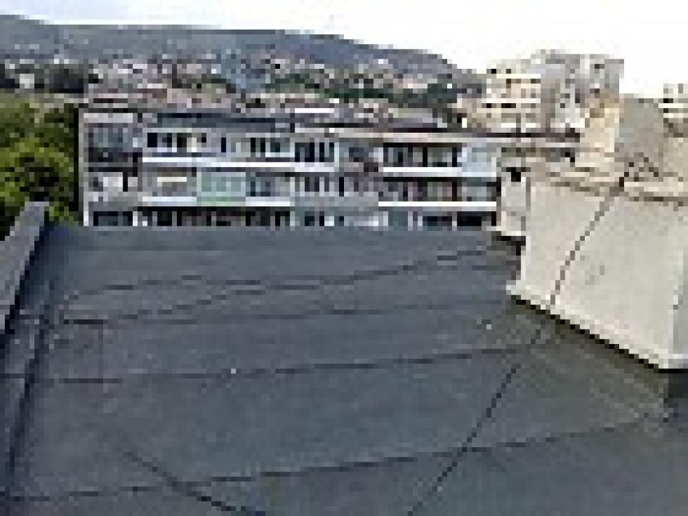 Снимка  от Трайчо Нанов