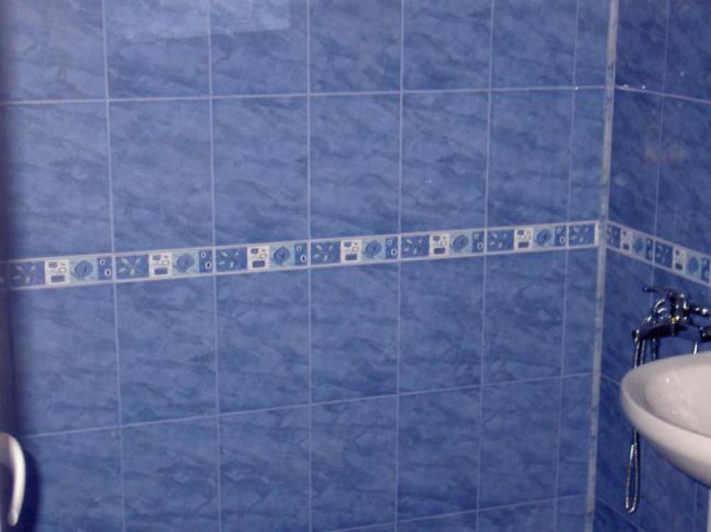 Снимка  от Димитър Стефанов