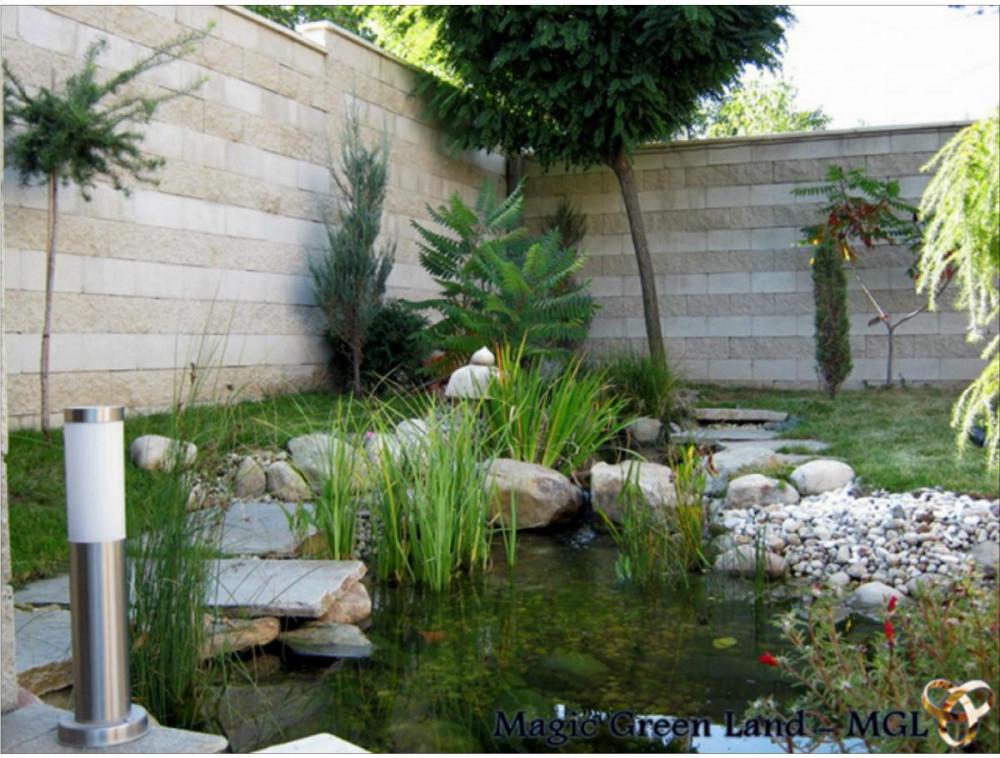 Воден елемент - езеро с рибки