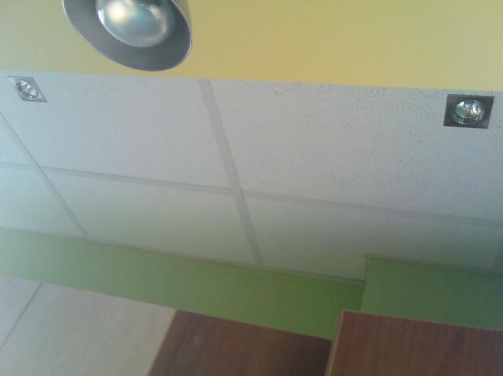 Снимка  от Антон Антонов