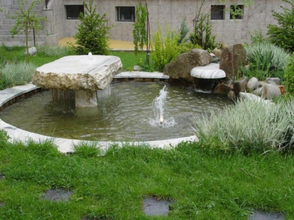 Снимка  от Мистър Грийн Mr.Green