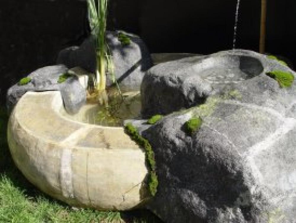 Снимка  от Мистър Грийн Mr.Green