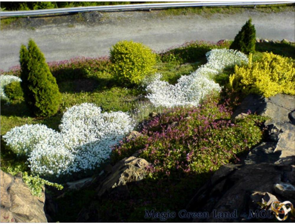 Пътно озеленяване на паметници на културата.