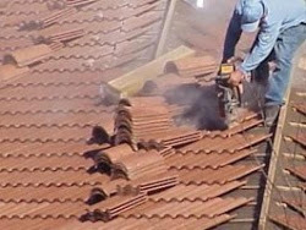 Снимка  от Георги Стефанов