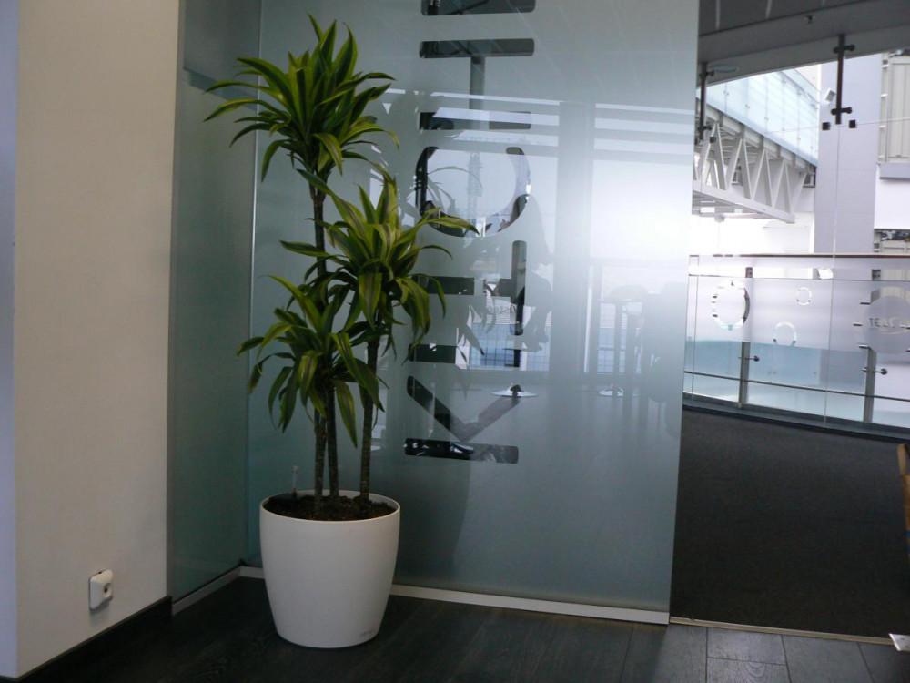 Озеленяване на офиси