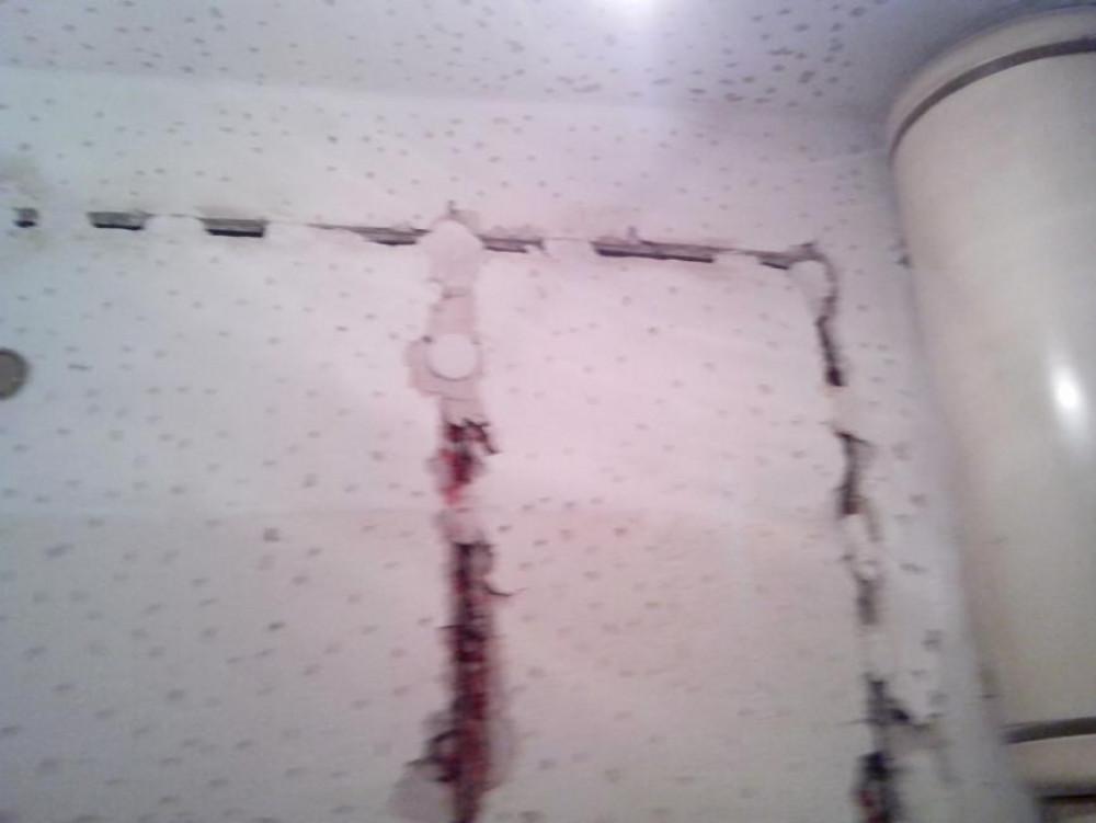 Снимка  от Боян Пършоров