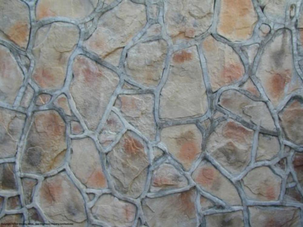 Снимка  от Димитър Мицов