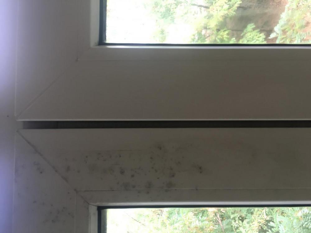 Преди и след почистване на дограма