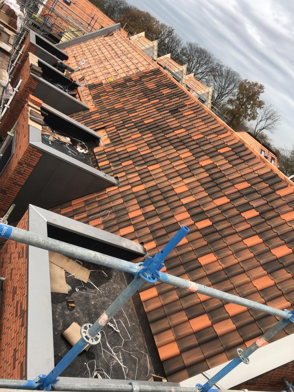 Холандски шарени керемиди