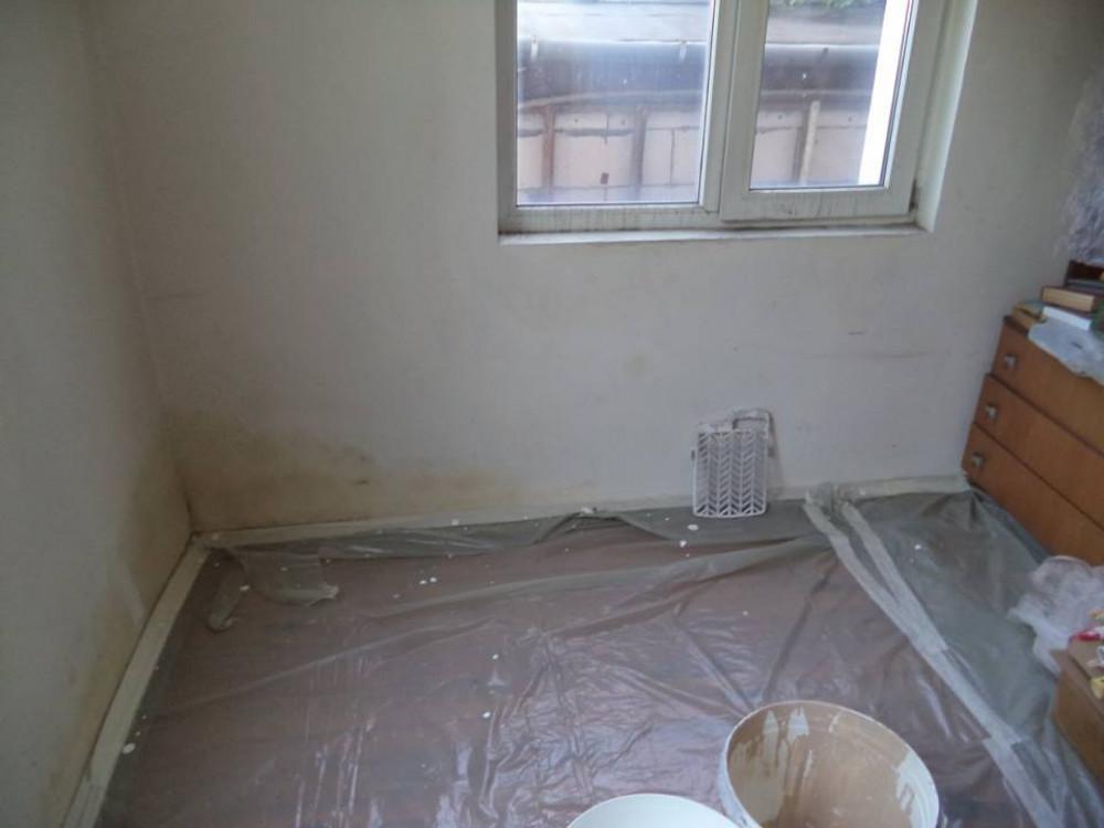 Боядисване