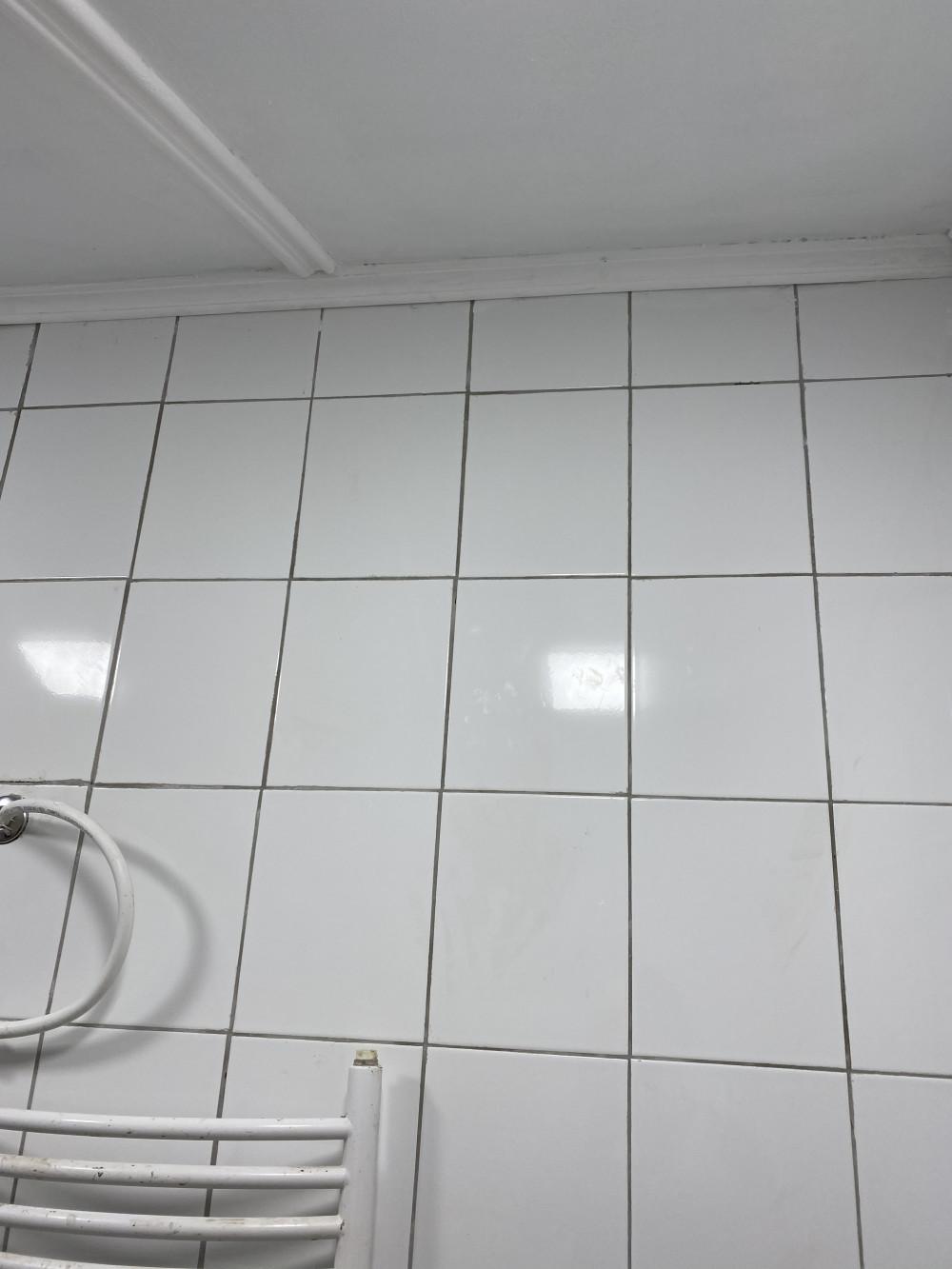 Цялостен ремонт на Баня и две стени