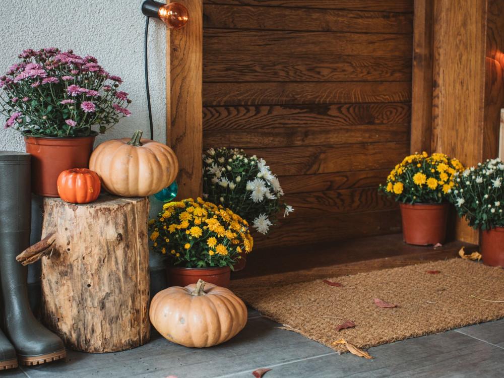 Тиквено царство