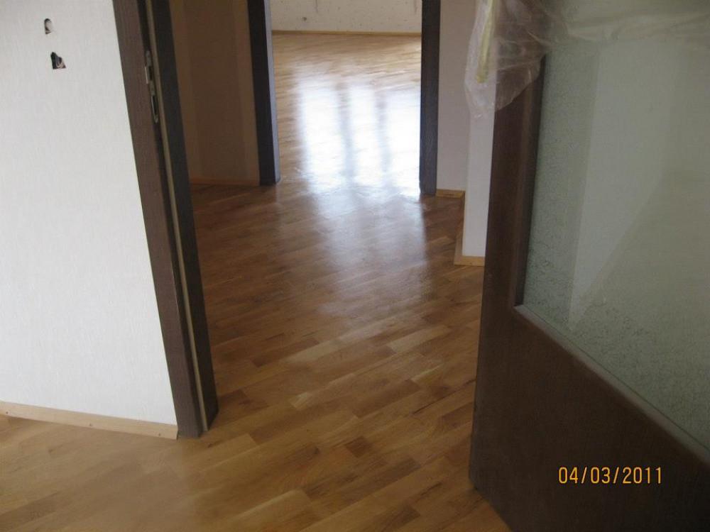 267496_481726288533697_1538366535_n