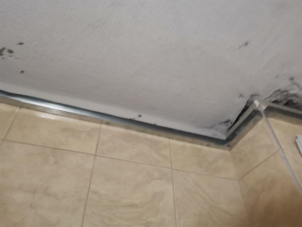 193600959_1116423168767579_8816245948695219904_n