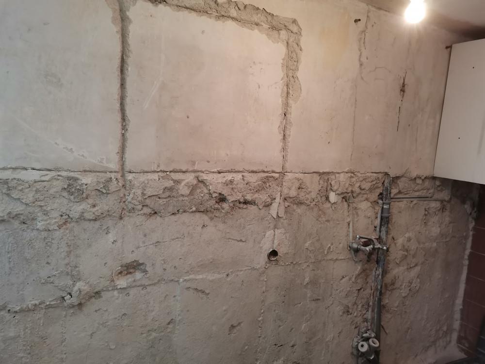 122871433_974983716244859_5238904113087402546_n