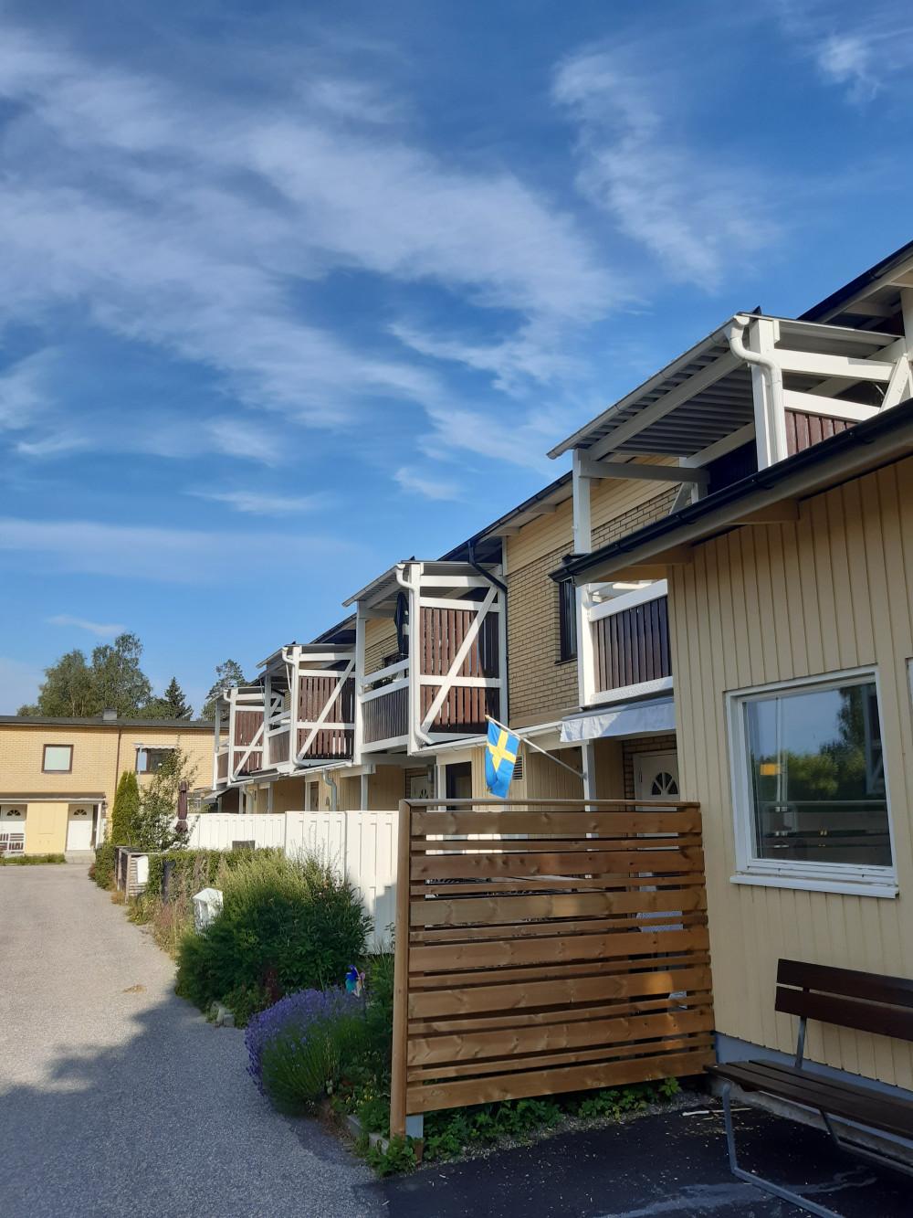 Реновиране на тераси.