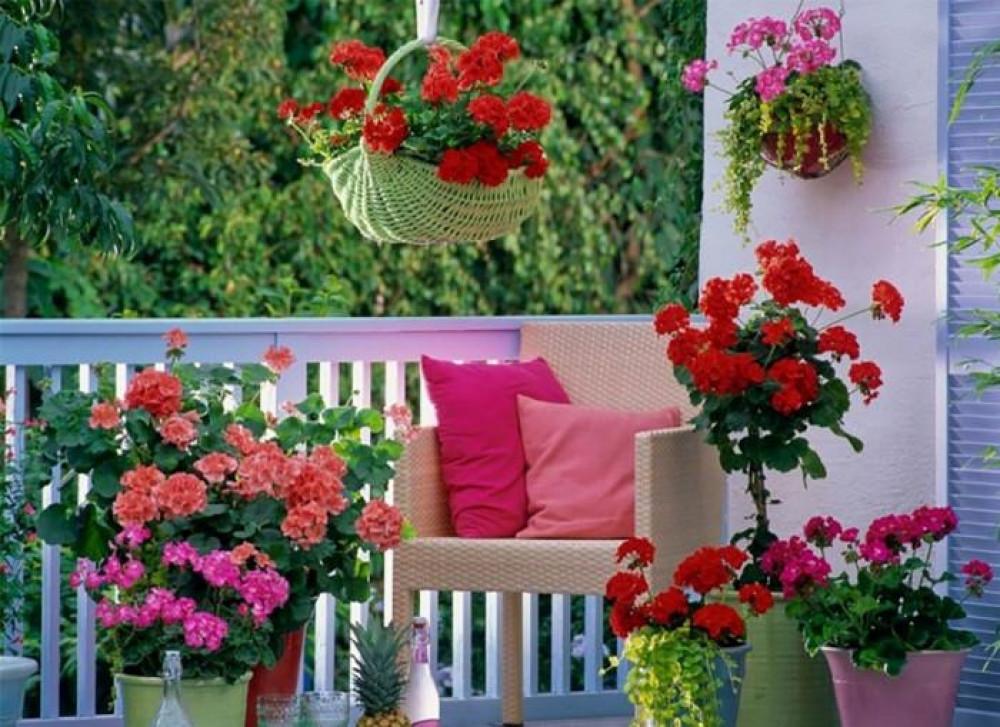 Цветя или зеленчуци