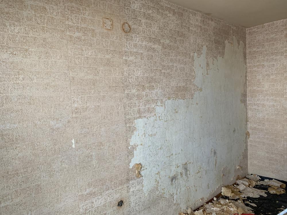 8544F654-0BD6-490B-864D-ABF7EE9D5BFE