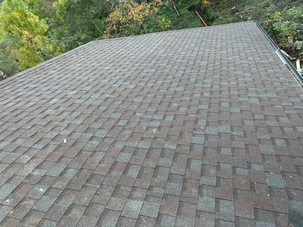 FB_IMG_1743719737495