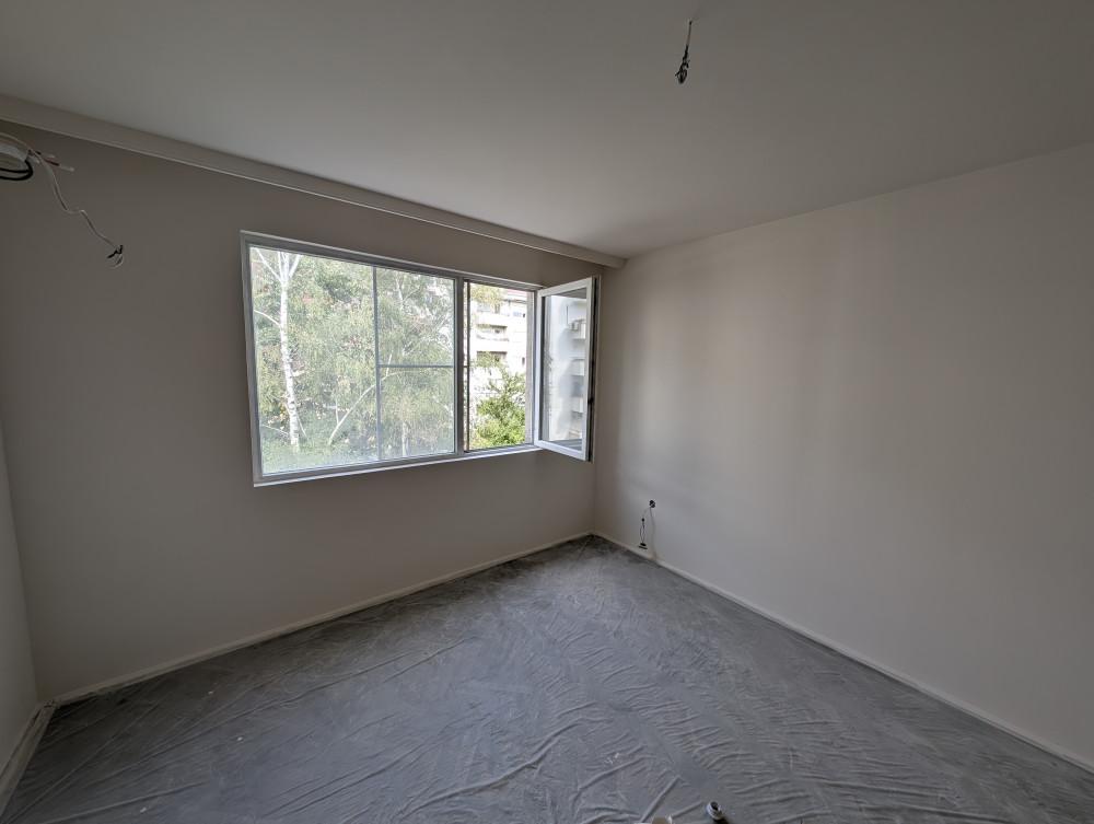 Боядисване