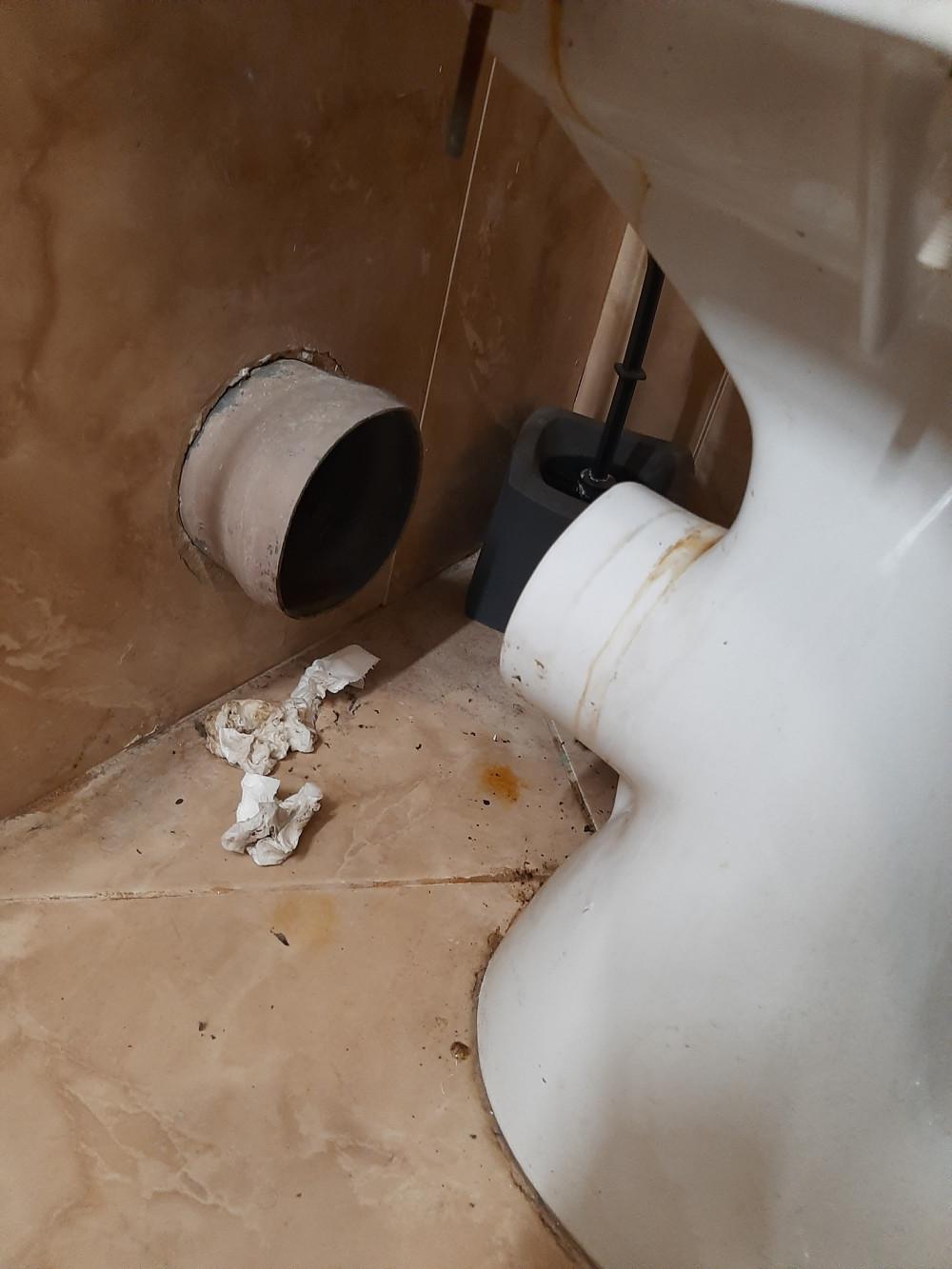 17733256621627312962620968691895