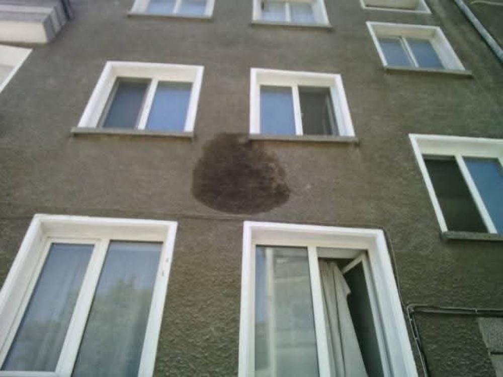 FB_IMG_1774365845557