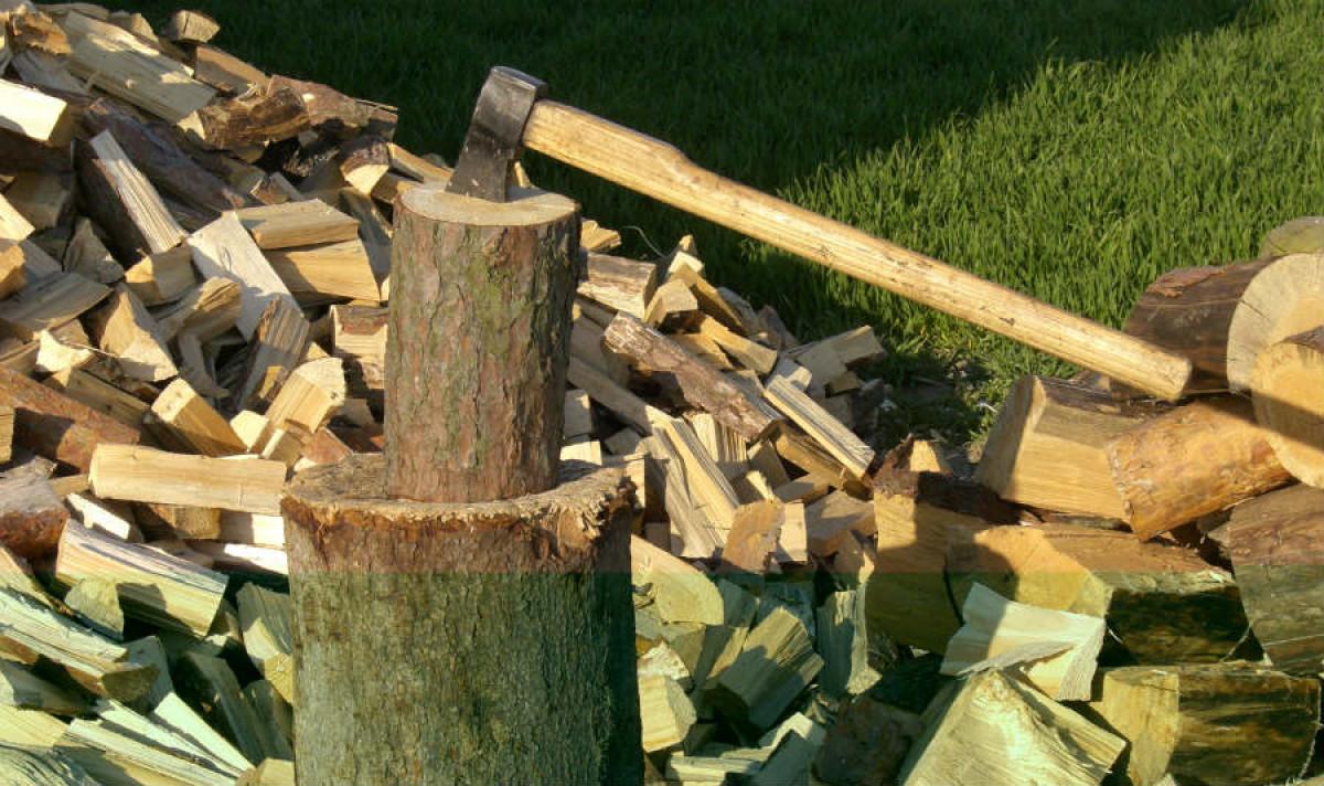 Цепете ги на по-малки парчета