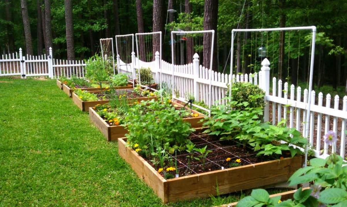 Кранче за отделен ред или за всяка култура?