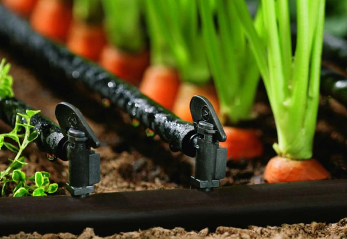 Равномерно ли е разпределението на водатата в реда?