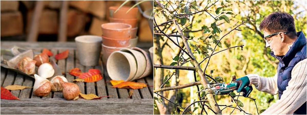 Време е за подрязване и нови посеви