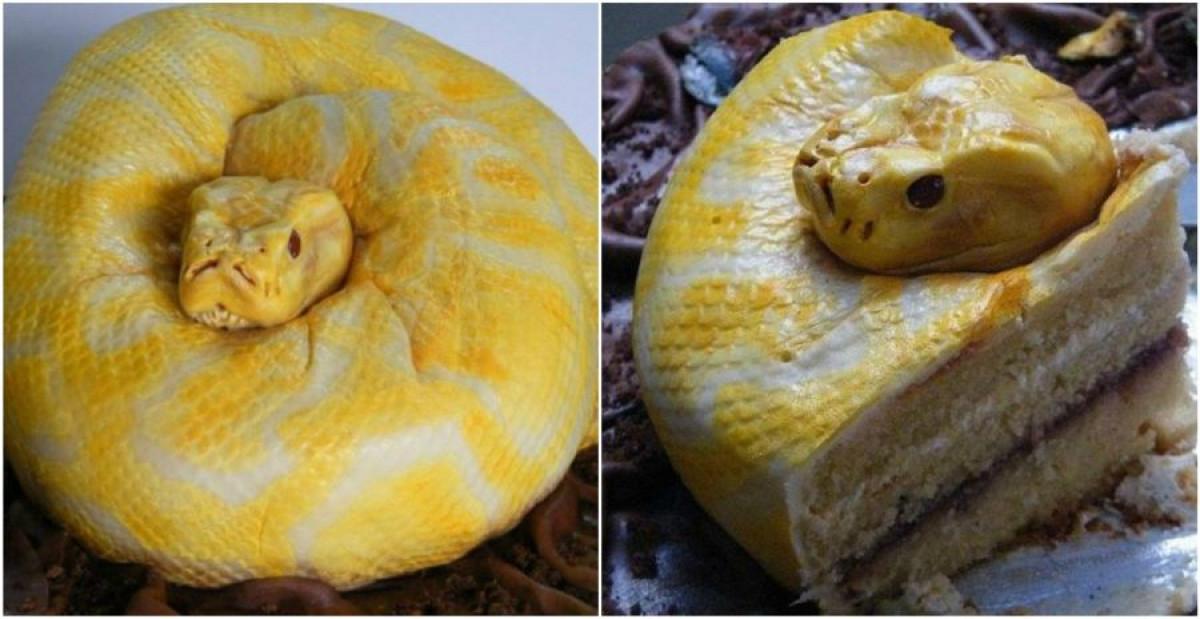 Пълзящо приключение