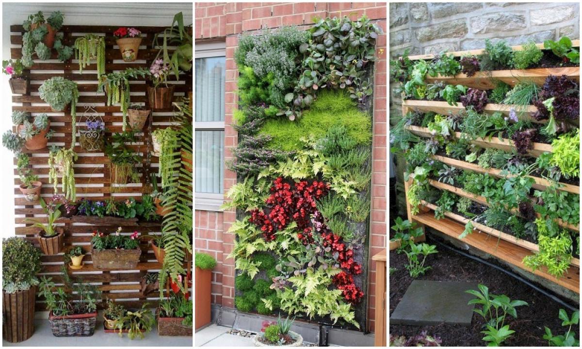 Как да превърнем терасата си в красива градина?