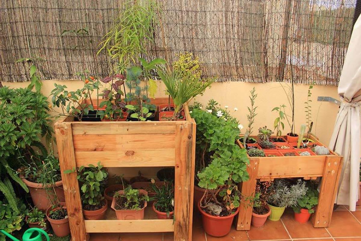 Превърнете малкия балкон в китна градина