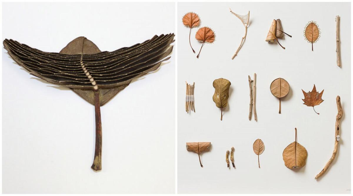 Многообразие в размерите, формите и цветовете