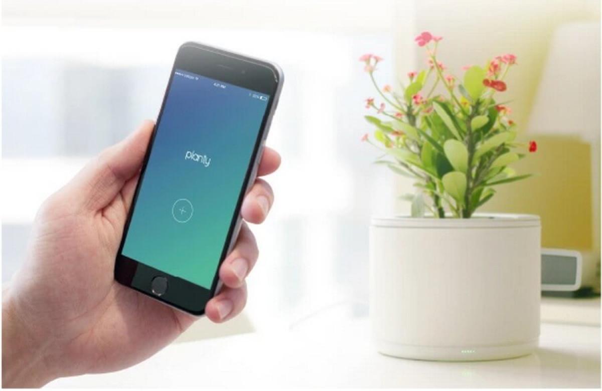 Интелигентната грижа за вашите растения