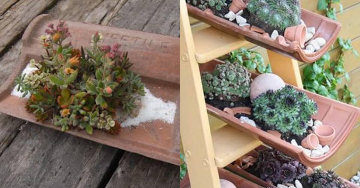 Творете с керемиди и сукуленти