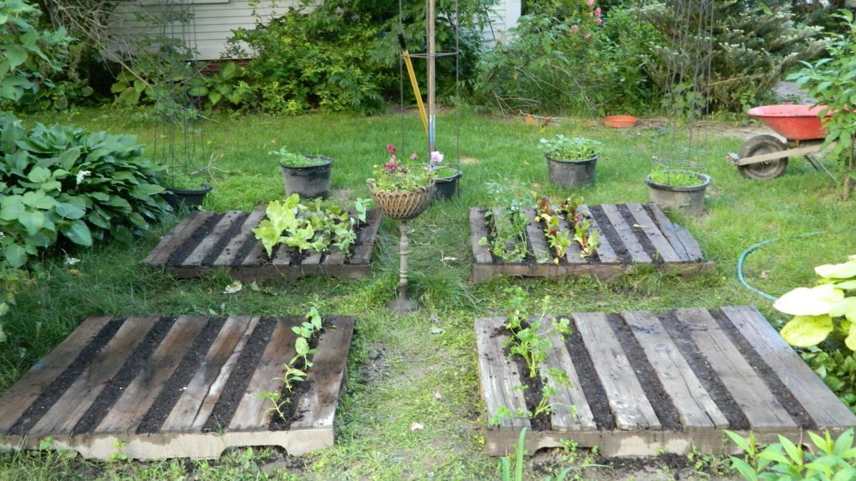 Разсадник от палети