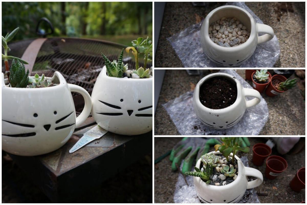 Декорирайте первазите на прозорците с дребни растения