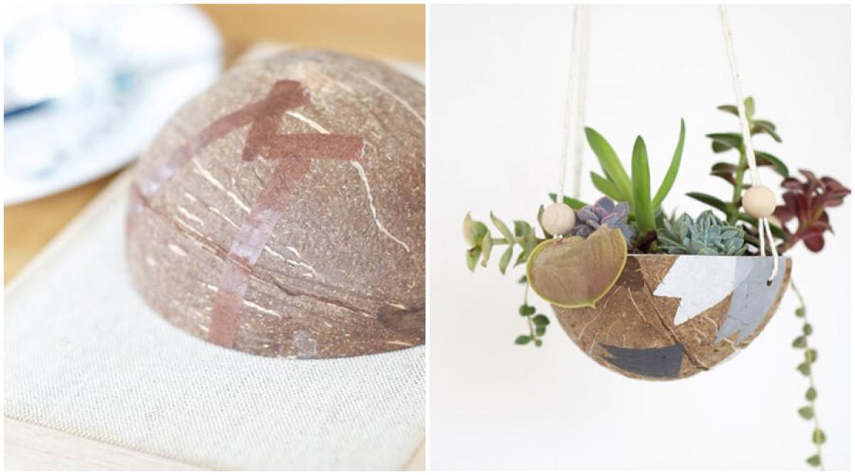 Нов дом за дребните растения, създаден от кокосов орех