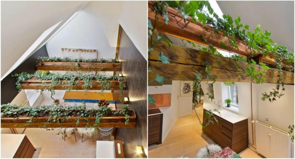 Градина у дома, с бръшлян!