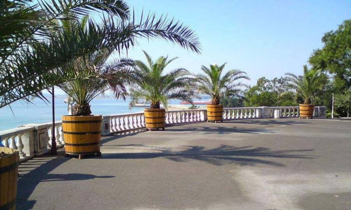 НХК ще предлага разнообразни възможности за изява