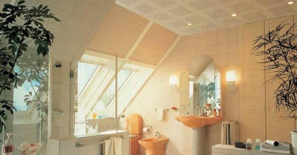 Защо гипсовите плоскости KNAUF Cleaneo®Akustik са отличен завършек на подпокривното пространство