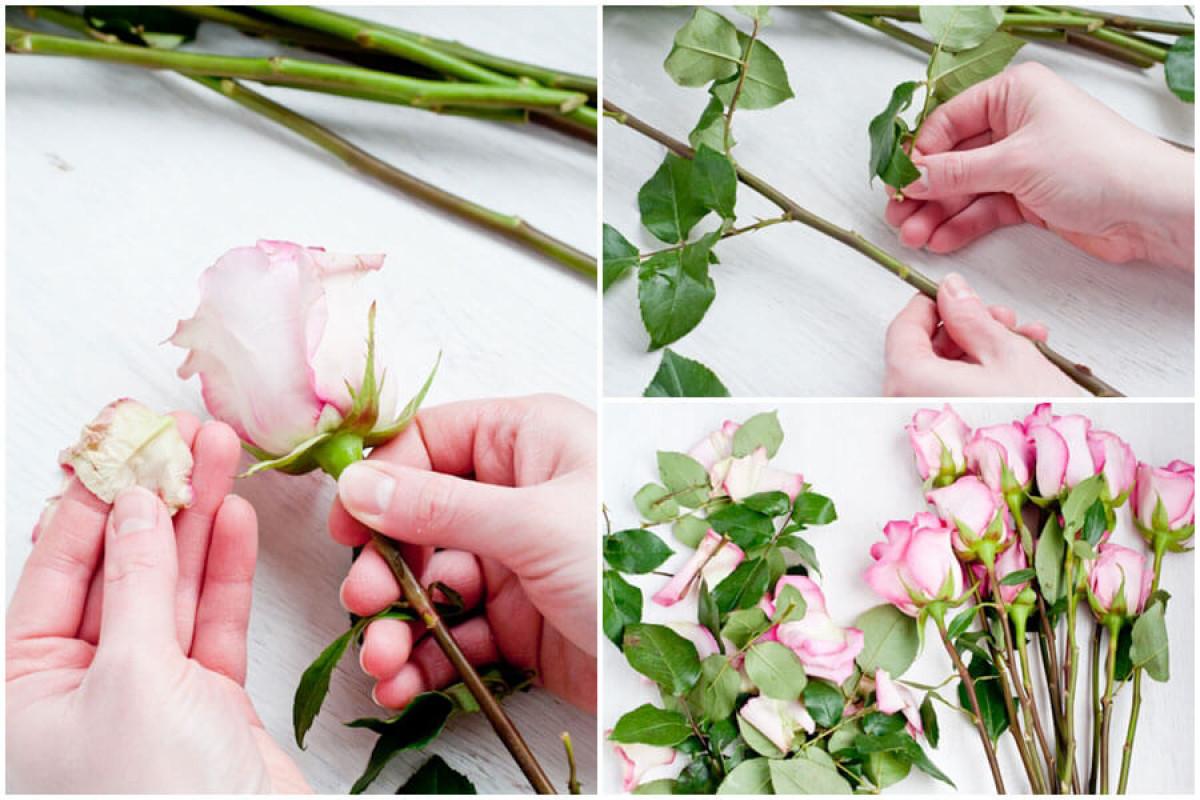 Редовно почиствайте излишните клонки и листа