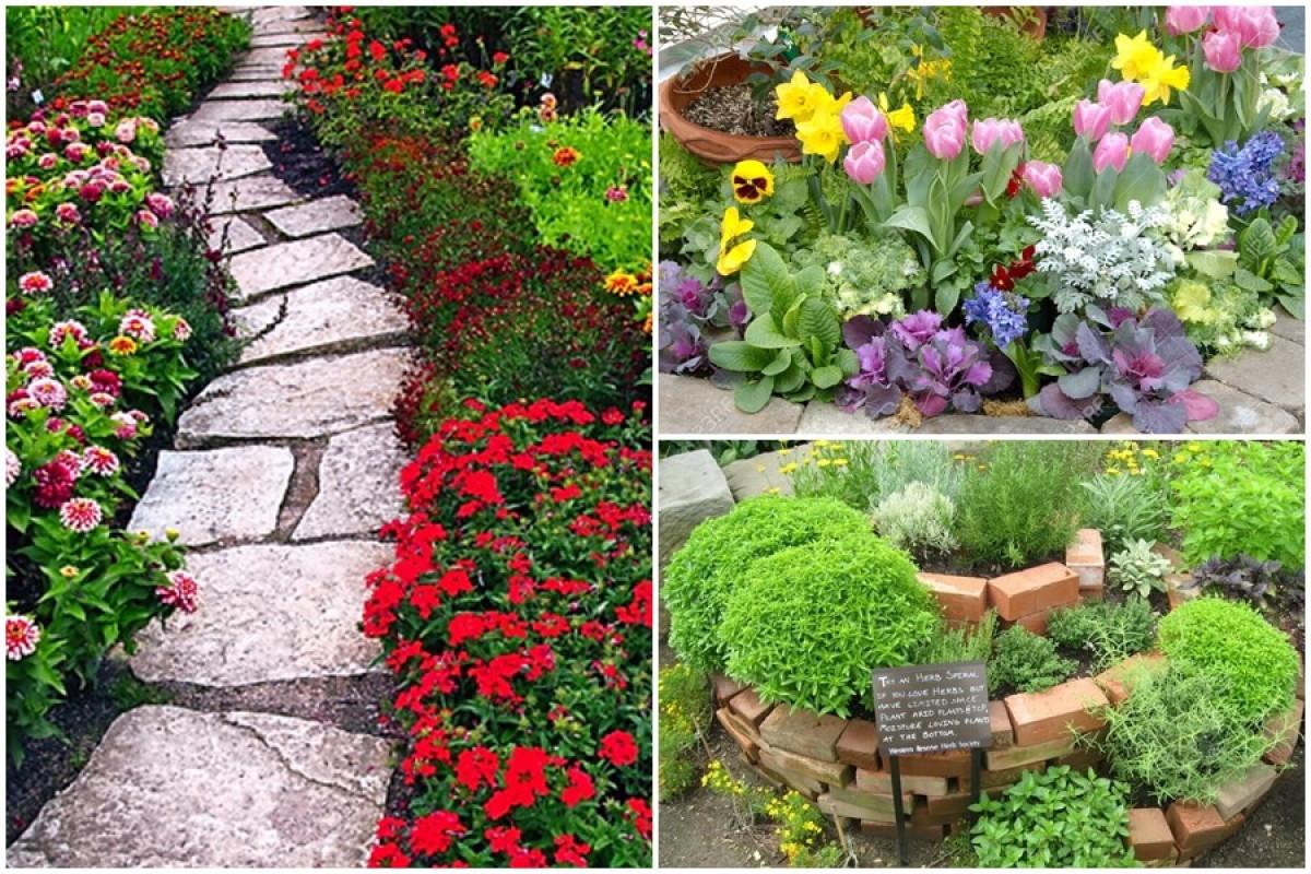 Полезни съвети за правилното аранжиране на градината