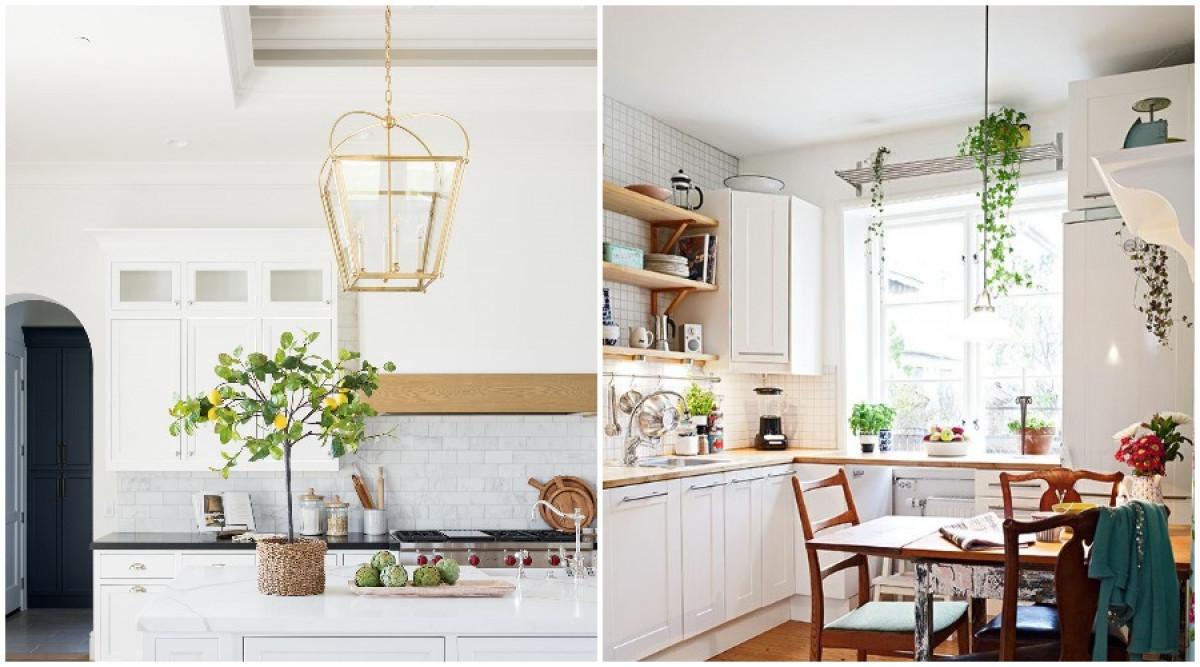 Растения и растителни мотиви