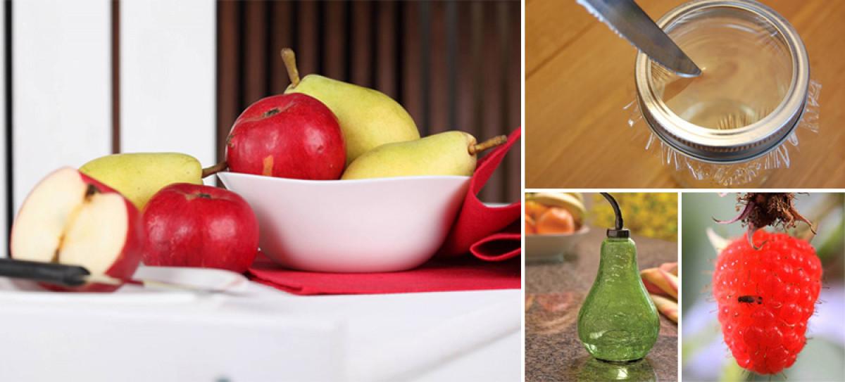 Хитри трикове за справяне с досадните плодови мушици