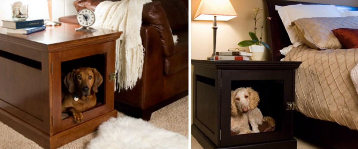 И за домошари