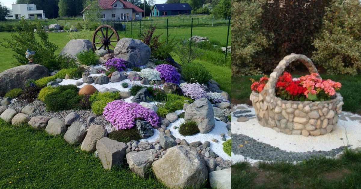 Алпинеум в двора