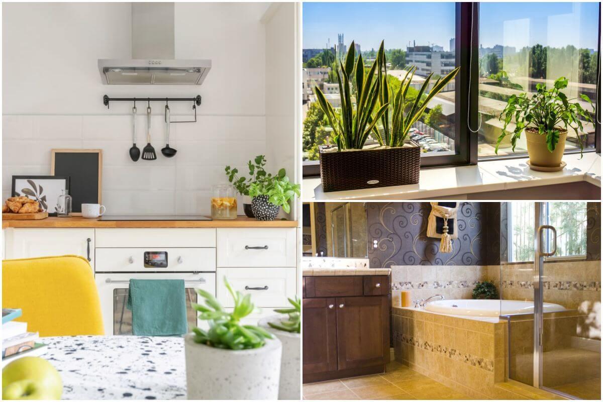 5 ремонта, с които да повишите цената на жилището